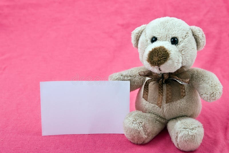 Teddy Bear With White Notice On Pink Background Stock Teddy Bear With White Notice On Pink Background Stock