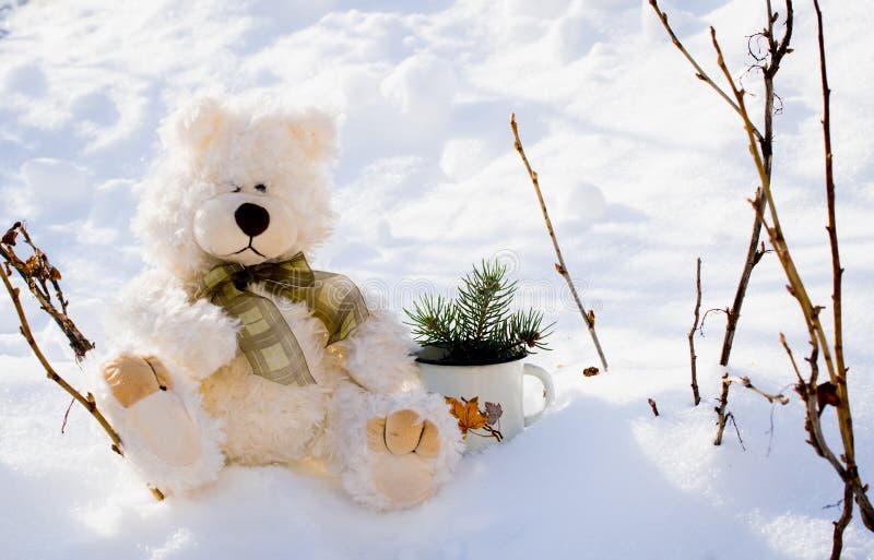 2 070 Romantic Teddy Bears Photos Free Royalty Free Stock Photos From Dreamstime 2 070 Romantic Teddy Bears Photos Free Royalty Free Stock Photos From Dreamstime