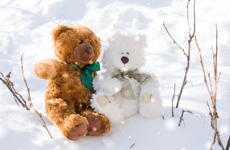 2 070 Romantic Teddy Bears Photos Free Royalty Free Stock Photos From Dreamstime 2 070 Romantic Teddy Bears Photos Free Royalty Free Stock Photos From Dreamstime