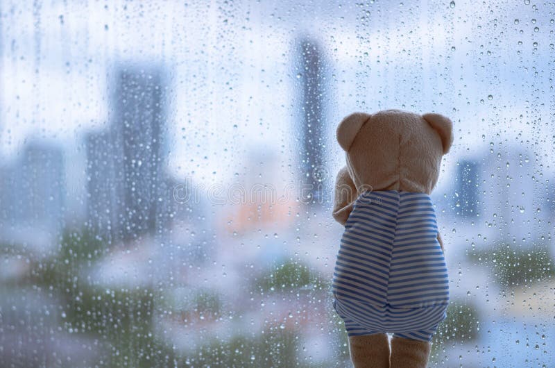 Teddy, der allein am Fenster dem Regnen schreit.