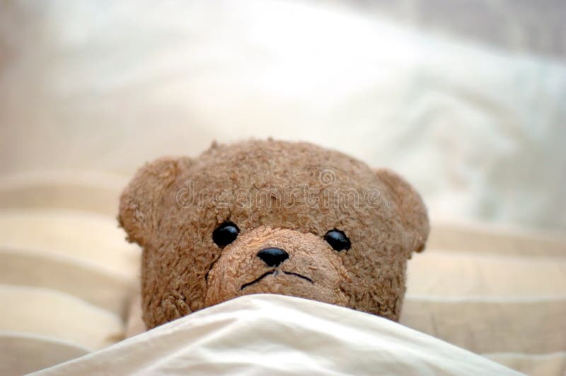 A Teddy in bed. A Teddy in bed