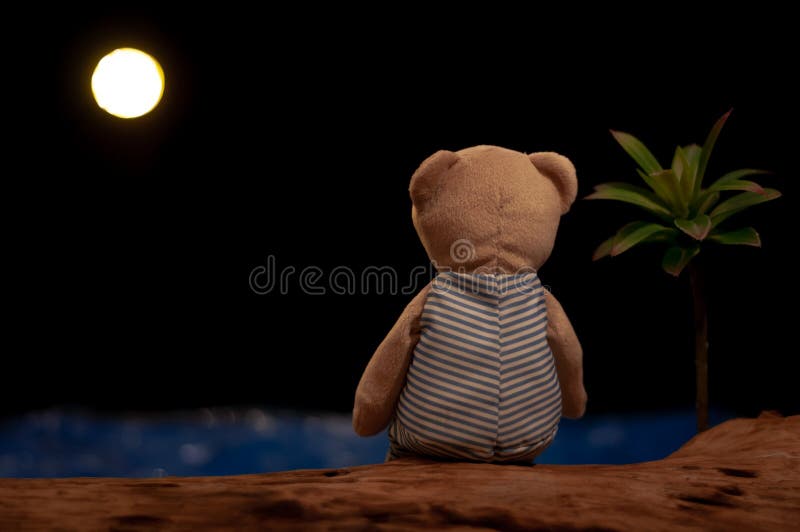 Teddybär, der sitzt den Mond und das Meer allein, betrachtend
