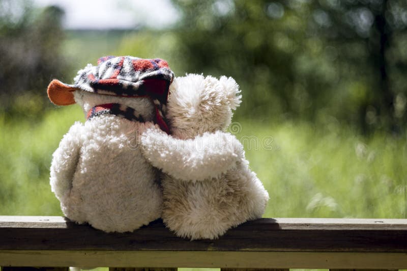 Teddybären in der Liebe, die auf dem Geländer der Laube umarmt