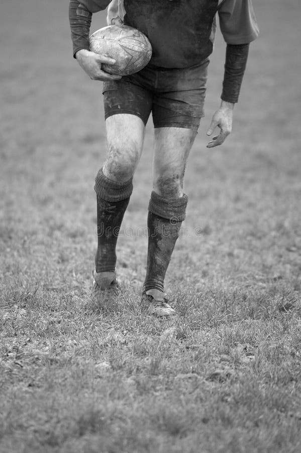 tee rugby obraz royalty free tee rugby obraz royalty free