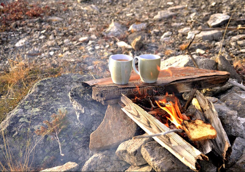 Picknicken Im Wald - Vater Und Sohn Roste Eibisch Auf Lagerfeuer ...