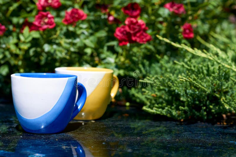 a small bowl-shaped container for drinking from, typically having a handle. Yellow and blue tea coffee cups and red flowers in greenery on a marble surface. a small bowl-shaped container for drinking from, typically having a handle. Yellow and blue tea coffee cups and red flowers in greenery on a marble surface