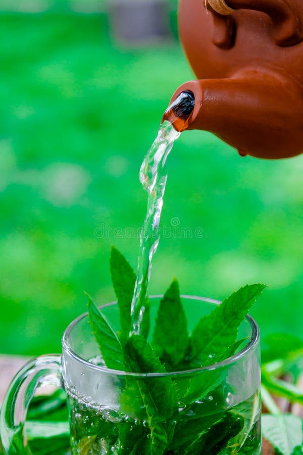 Teekonzept stockfoto Teekonzept stockfoto