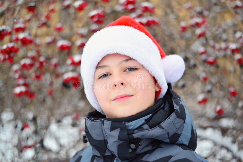 Teen In Cap Santa Claus On Background Of Viburnum Stock I