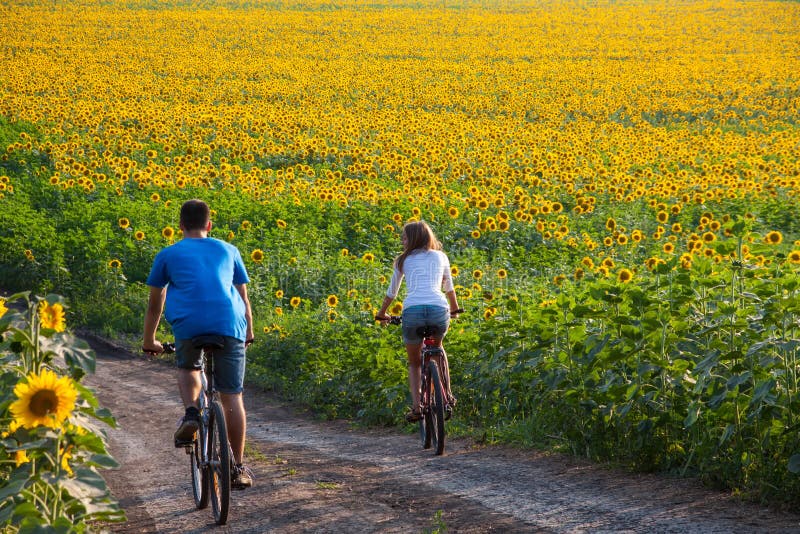 Teen Couple Riding Bike In Sunflower Field Stock Image
