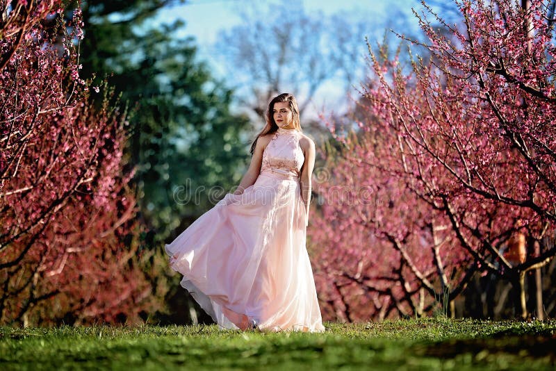 Teen Girl in a Field of Cherry Blossoms Stock Image - Image of high ...