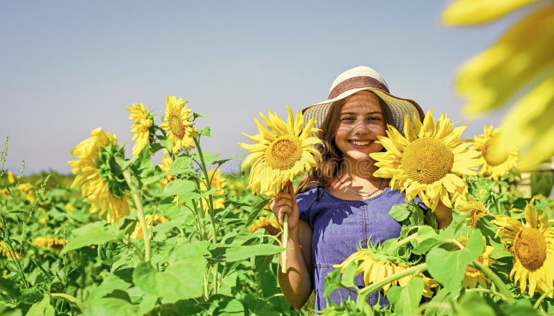 Teen Girl in Sunflower Field. Concept of Summer Vacation. Rich Harvest ...