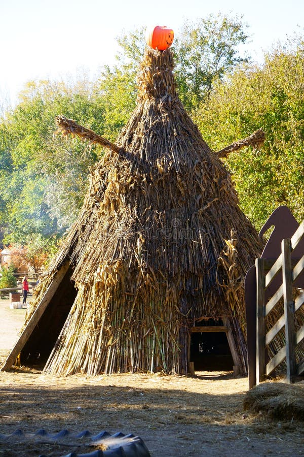 Teepee made from Corn Stalks stock image Teepee made from Corn Stalks stock image