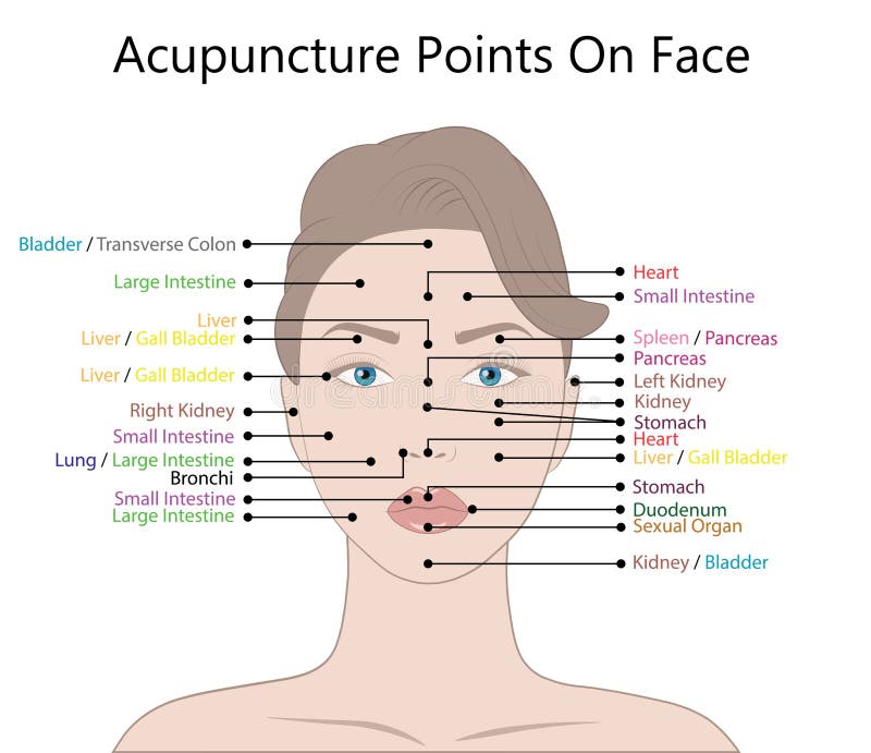 face acupressure points chart