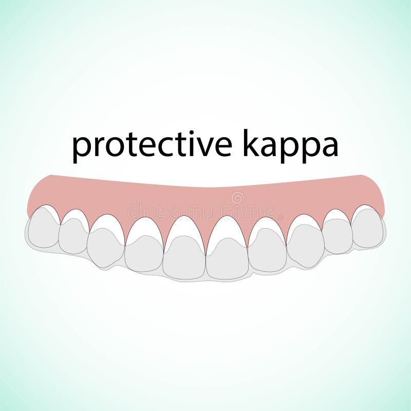 Bestrating bak zoon Teeth Illustration Vector. Erased Teeth. Protective Kappa Stock Vector -  Illustration of teeth, care: 138524926
