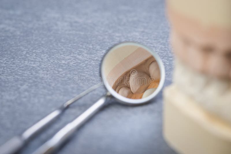 Teeth Mold with Dental Tools Stock Photo Image of dentist, health