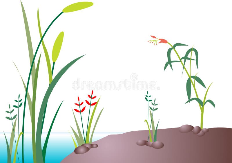 Teich vektor abbildung. Illustration von anstürme, hintergrund 15992747