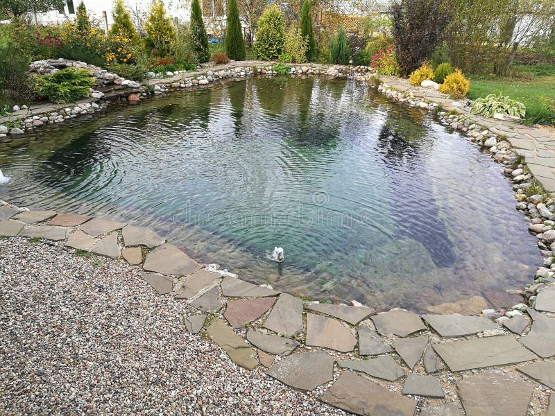 teich lizenzfreie stockfotografie teich lizenzfreie stockfotografie