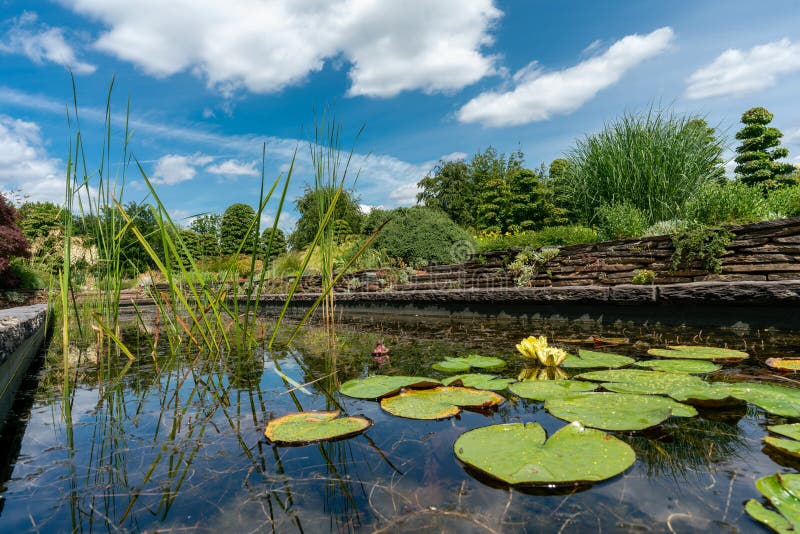 Teich Des Formalen Gartens Mit Seerosen Und Travertinen Stockfoto