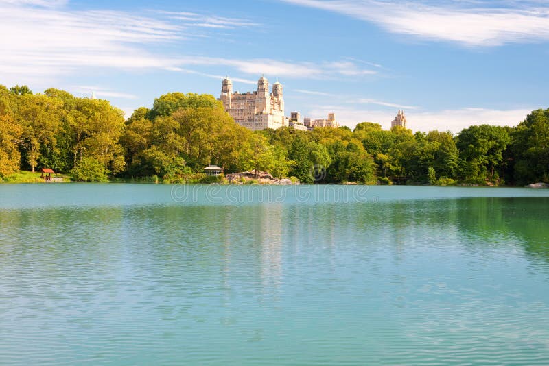 Teich Im NY Central Park am Sommer Stockfoto Bild von fallen, ente