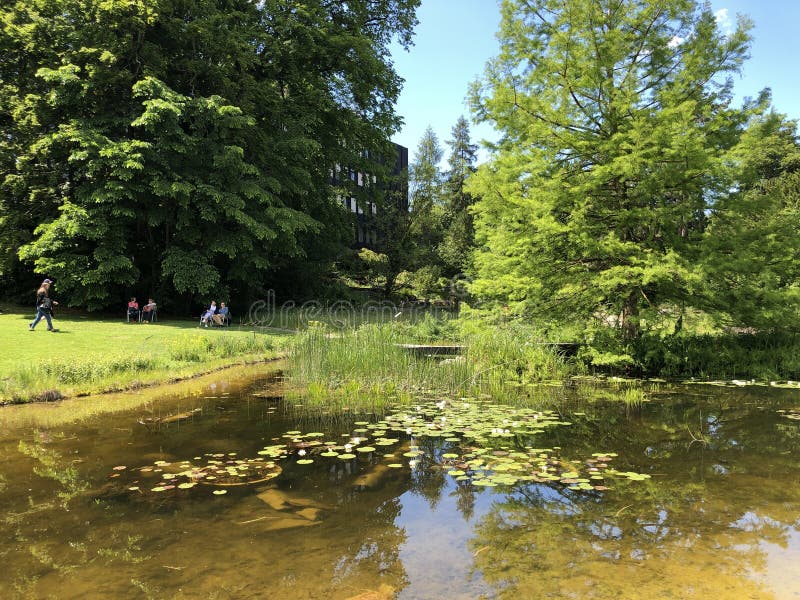 Teich Oder Teich Botanischer Garten Der Universität Von Zürich Oder