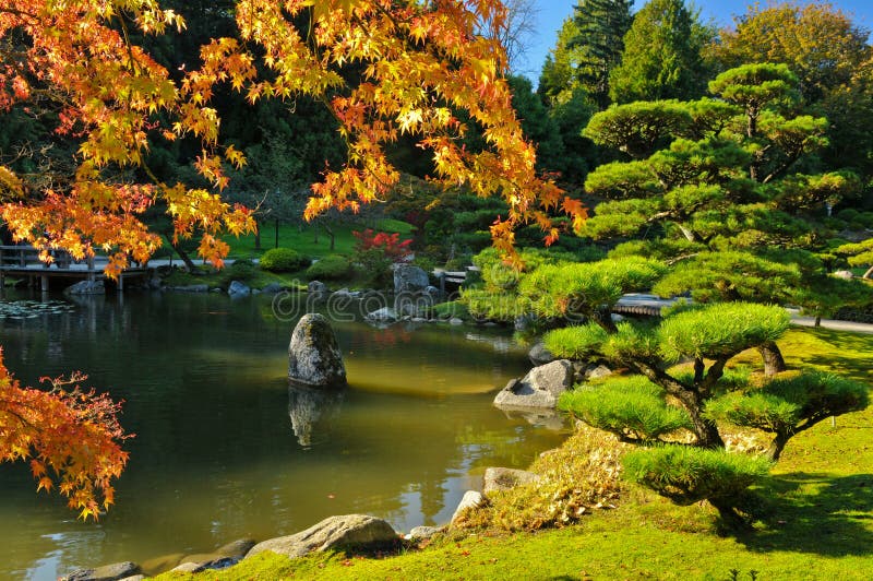 Teich und Fall-Laub im japanischen Garten