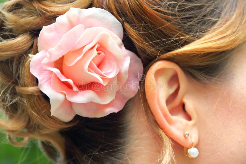 Part of wedding hairstyle closeup with beautiful rose in hair. Part of wedding hairstyle closeup with beautiful rose in hair