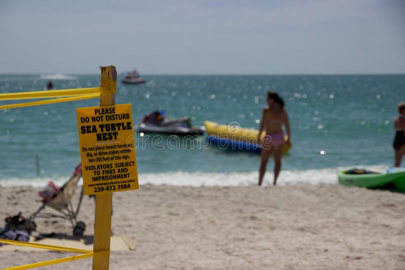 A sea turtle nest on a busy beach on Florida's Sanibel Island is blocked off with yellow tape. Disturbing a sea turtle nest is a crime that can be punished with fines or prison time. A sandy beach with swimmers is in the background; in the foreground, a sign reading please do not disturb: sea turtle nest is in focus. A sea turtle nest on a busy beach on Florida's Sanibel Island is blocked off with yellow tape. Disturbing a sea turtle nest is a crime that can be punished with fines or prison time. A sandy beach with swimmers is in the background; in the foreground, a sign reading please do not disturb: sea turtle nest is in focus.