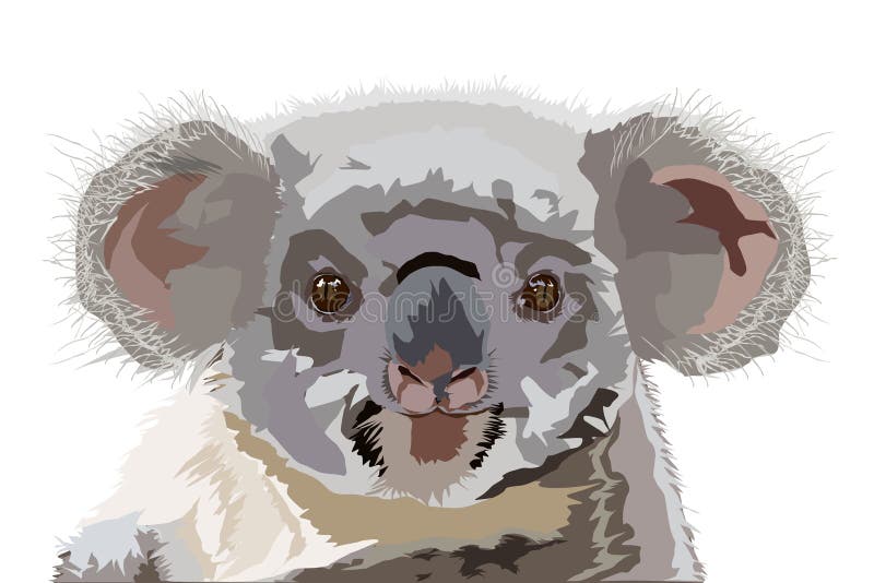 Tekening van de Australische koala vector illustratie Tekening van de Australische koala vector illustratie