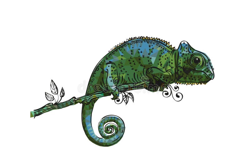 Tekening Van Een Kameleon Grijs-Green Vector Illustratie - Illustration Of  Vector, Levendig: 132440613