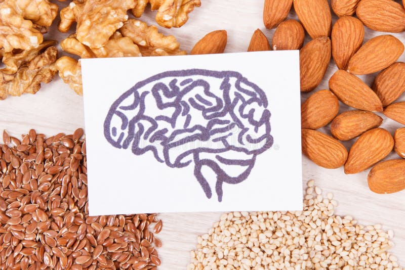 Tekening van hersenen en gezond voedsel voor macht en goed geheugen, voedzame het eten bevattende vitaminen en mineralen stock foto's Tekening van hersenen en gezond voedsel voor macht en goed geheugen, voedzame het eten bevattende vitaminen en mineralen stock foto's