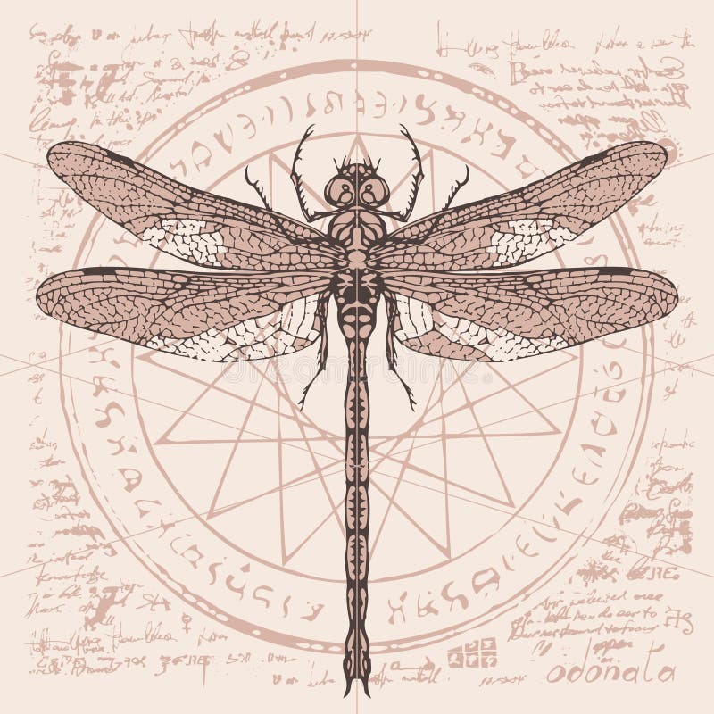 Illustration of a dragonfly on an abstract background of old papyrus or a manuscript with spots, circle, star, magical inscriptions and symbols. Vector banner in retro style. Illustration of a dragonfly on an abstract background of old papyrus or a manuscript with spots, circle, star, magical inscriptions and symbols. Vector banner in retro style