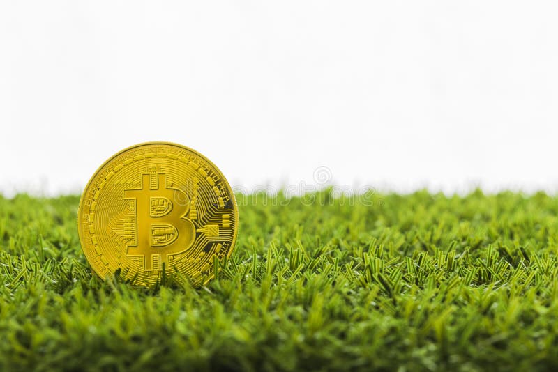 Ett begrepp för internet för affär för teknologi för valuta för mynt BTC Bitcoin Cryptocurrency för Digital bit
