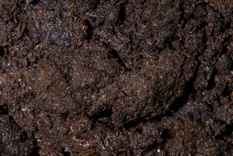 Tekstura powierzchni mokrej gleby czarnej w ogrodzie. tło błota i brudu