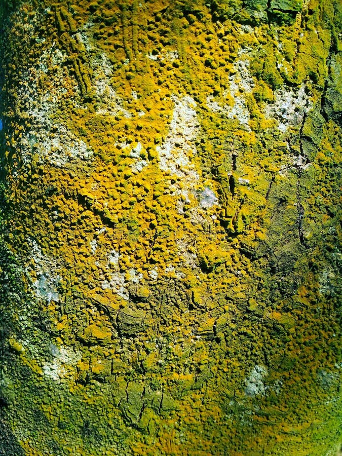 Tekstura tła z drewna mozaikowego obrazy stock