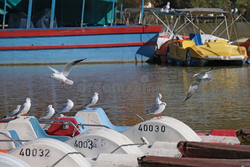 Tel-Aviv, Israel - January 3, 2023: HaYarkon Park in Tel-Aviv royalty free stock images