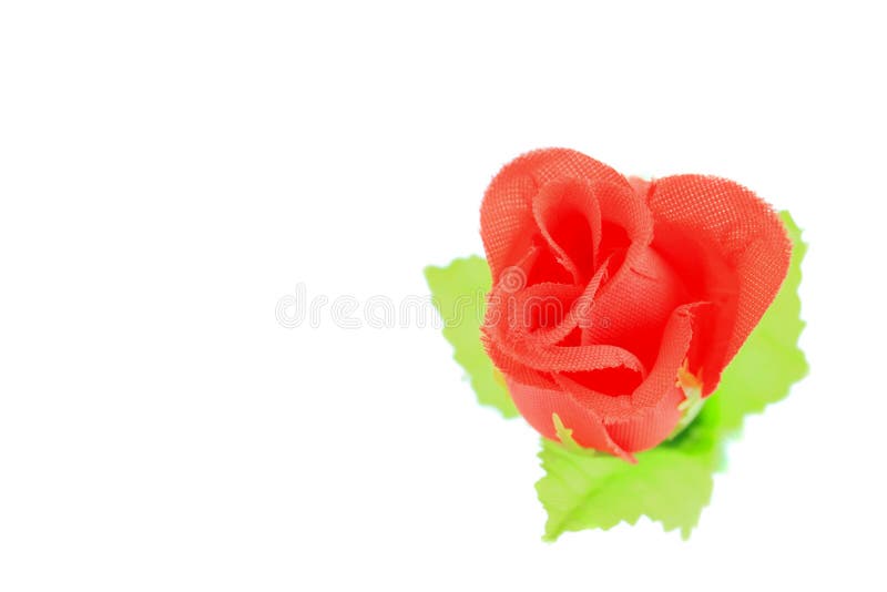 Tela roja de Rose en el fondo blanco fotos de archivo libres de regalías Tela roja de Rose en el fondo blanco fotos de archivo libres de regalías