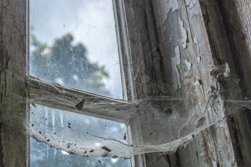 Telaraña de la araña en ventana vieja imagen de archivo libre de regalías Telaraña de la araña en ventana vieja imagen de archivo libre de regalías