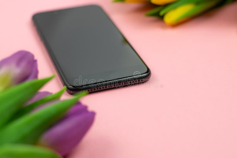 Telefon och tulpan p? rosa bakgrund royaltyfri foto Telefon och tulpan p? rosa bakgrund royaltyfri foto
