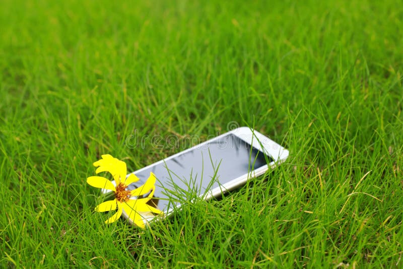 Telefone e flor na grama verde, close up disparado na grama verde imagem de stock royalty free