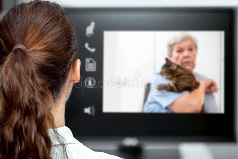 Telemedicine with the veterinarian, vet looking at the desk, elderly woman and a cat on live chat