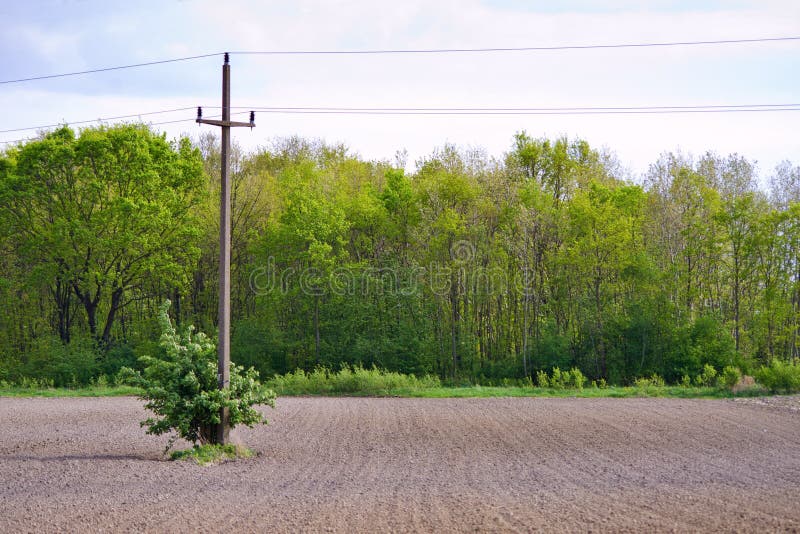 Telephone pole in field stock image. Image of dramatic 79293283