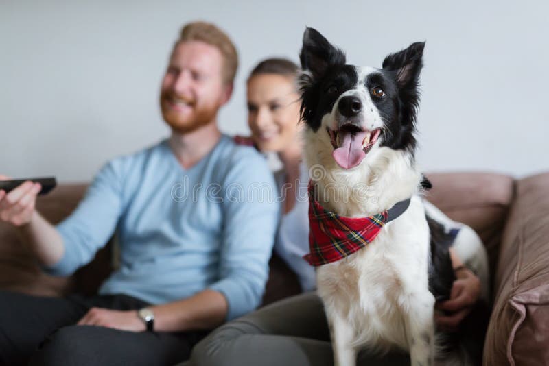 Televisione di sorveglianza delle belle coppie a casa con il loro cane immagine stock libera da diritti Televisione di sorveglianza delle belle coppie a casa con il loro cane immagine stock libera da diritti