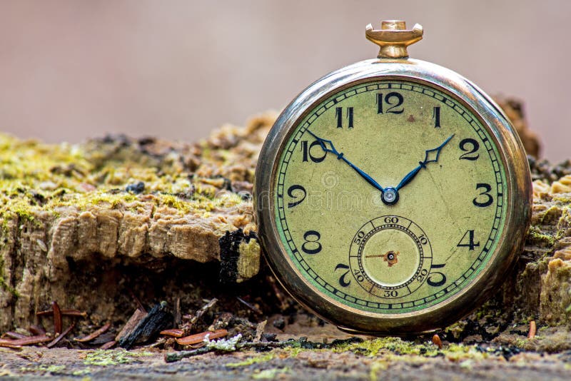 Telling Time In The Forest With An Antique Pocket Watch stock image Telling Time In The Forest With An Antique Pocket Watch stock image