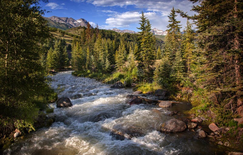 Telluride Colorado Forest River At Sunset Stock Image Image Of