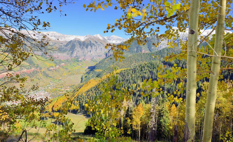 Tellururo nella caduta con la tremula gialla e le montagne innevate immagini stock libere da diritti Tellururo nella caduta con la tremula gialla e le montagne innevate immagini stock libere da diritti
