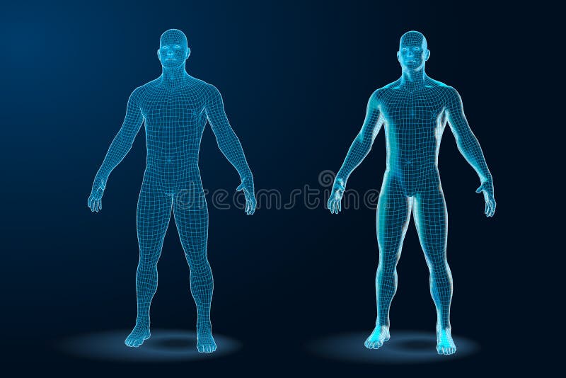 Temlate ha messo del modello poligonale del corpo umano 3D Wireframe Illustrazione di vettore