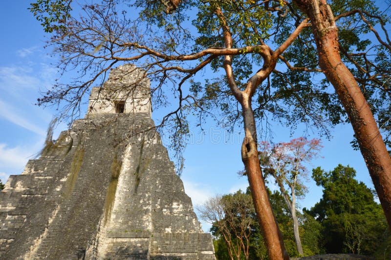 Tempel I van de archeologische plaats van Tikal in Gr Peten, Guatemala royalty-vrije stock afbeelding Tempel I van de archeologische plaats van Tikal in Gr Peten, Guatemala royalty-vrije stock afbeelding