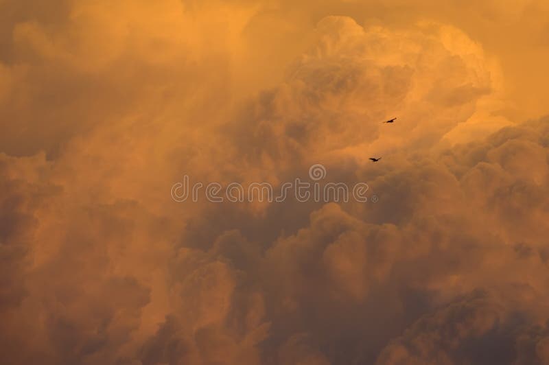 Tempestad de truenos que se mueve adentro en la puesta del sol fotografía de archivo Tempestad de truenos que se mueve adentro en la puesta del sol fotografía de archivo