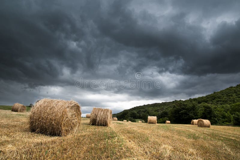 Tempestade sobre o campo do cereal imagens de stock royalty free Tempestade sobre o campo do cereal imagens de stock royalty free