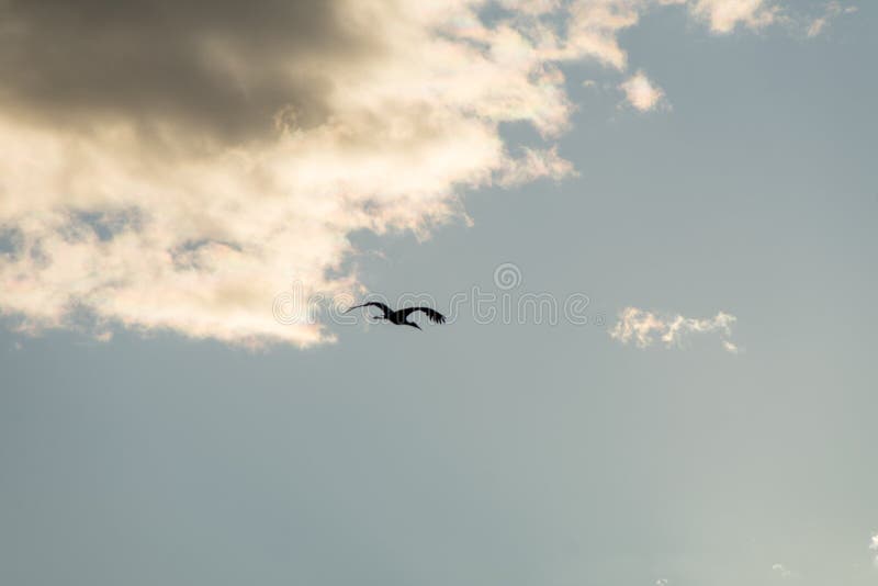 Tempestade voando num céu azul com algumas nuvens numa tarde de inverno 9 fotografia de stock Tempestade voando num céu azul com algumas nuvens numa tarde de inverno 9 fotografia de stock
